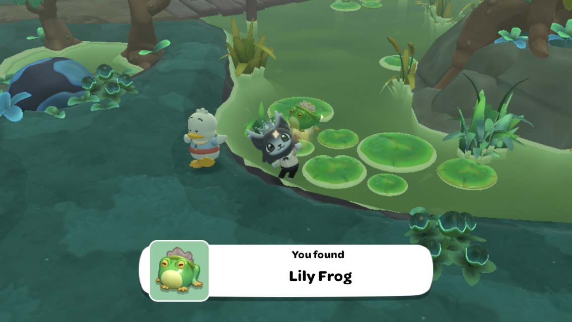 Lily Frog HKIA