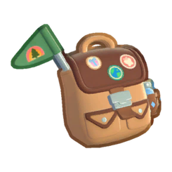 Camper Backpack