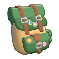 Camper Hiking Pack