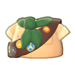 Camper Sash