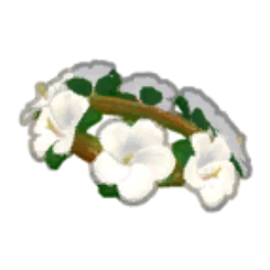 Hibiscus Flower Crown