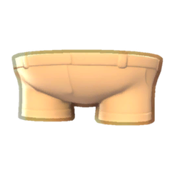 Camper Shorts