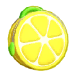 Fruit Bag