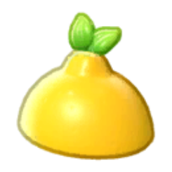 Fruit Hat