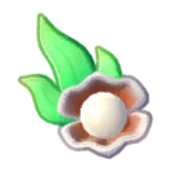 Shell Hair Piece