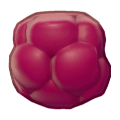 Raspberry Body