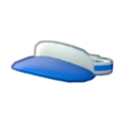 Visor