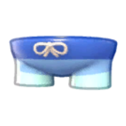 Swim Trunks