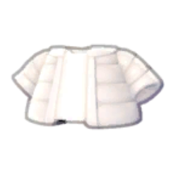 Puffy Jacket