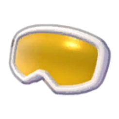 Ski Goggles