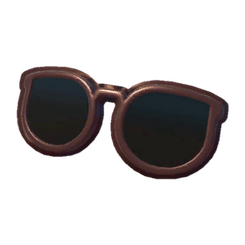 Thin Rim Glasses