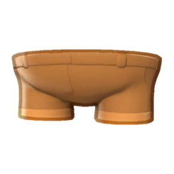 Camper Shorts