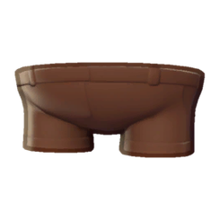 Camper Shorts