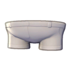 Camper Shorts