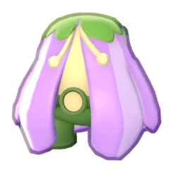 Blossom Outfit