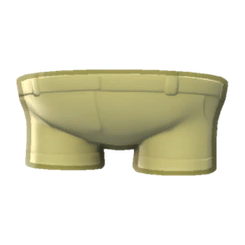 Camper Shorts