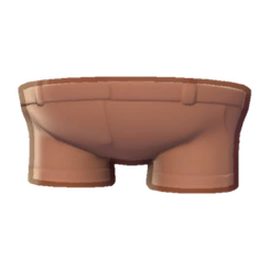 Camper Shorts