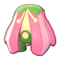 Blossom Outfit