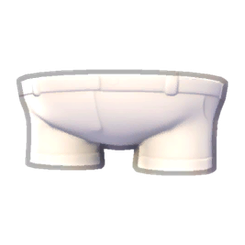 Camper Shorts