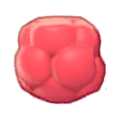 Raspberry Body