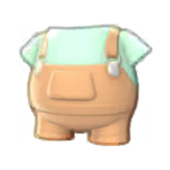 Overalls