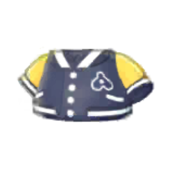 Letter Jacket