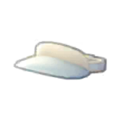 Visor