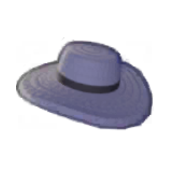 Sunhat