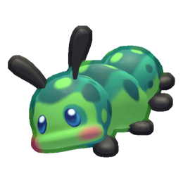 Catercreeper
