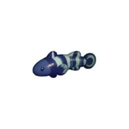 Banded Spelunker