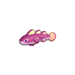 Geranium Gar