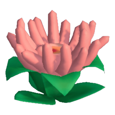 Anemone