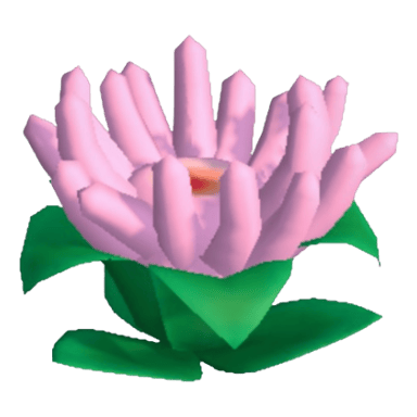 Anemone