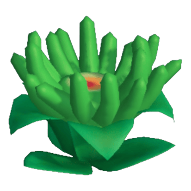 Anemone