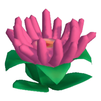 Anemone