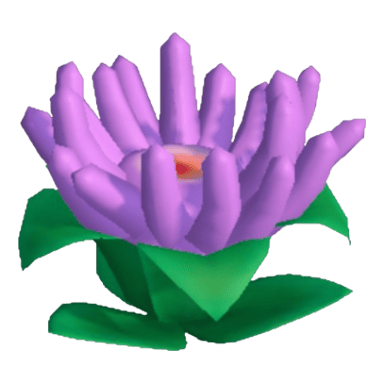 Anemone
