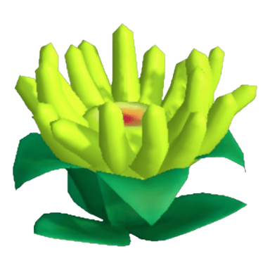 Anemone