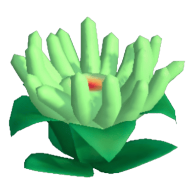 Anemone