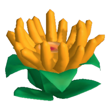 Anemone