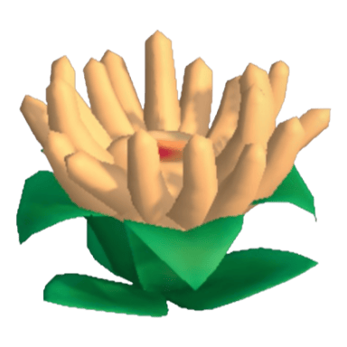 Anemone