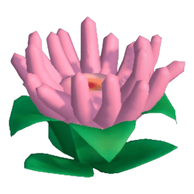 Anemone