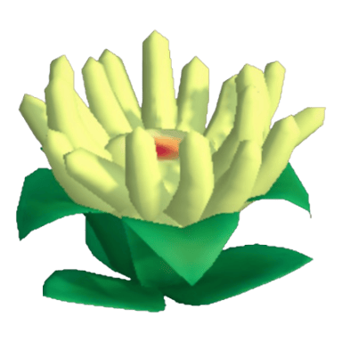Anemone