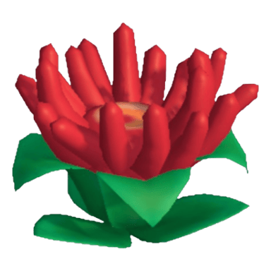 Anemone