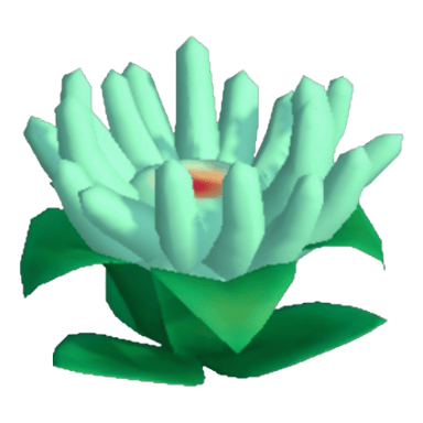 Anemone