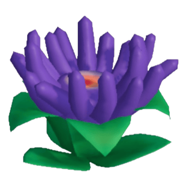 Anemone