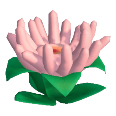 Anemone