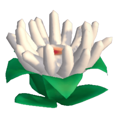 Anemone