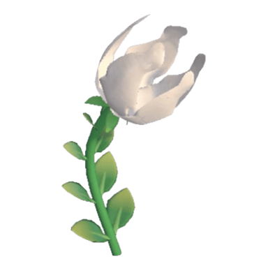 Blazebulb