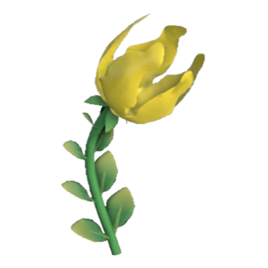 Blazebulb