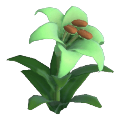 Dandelily